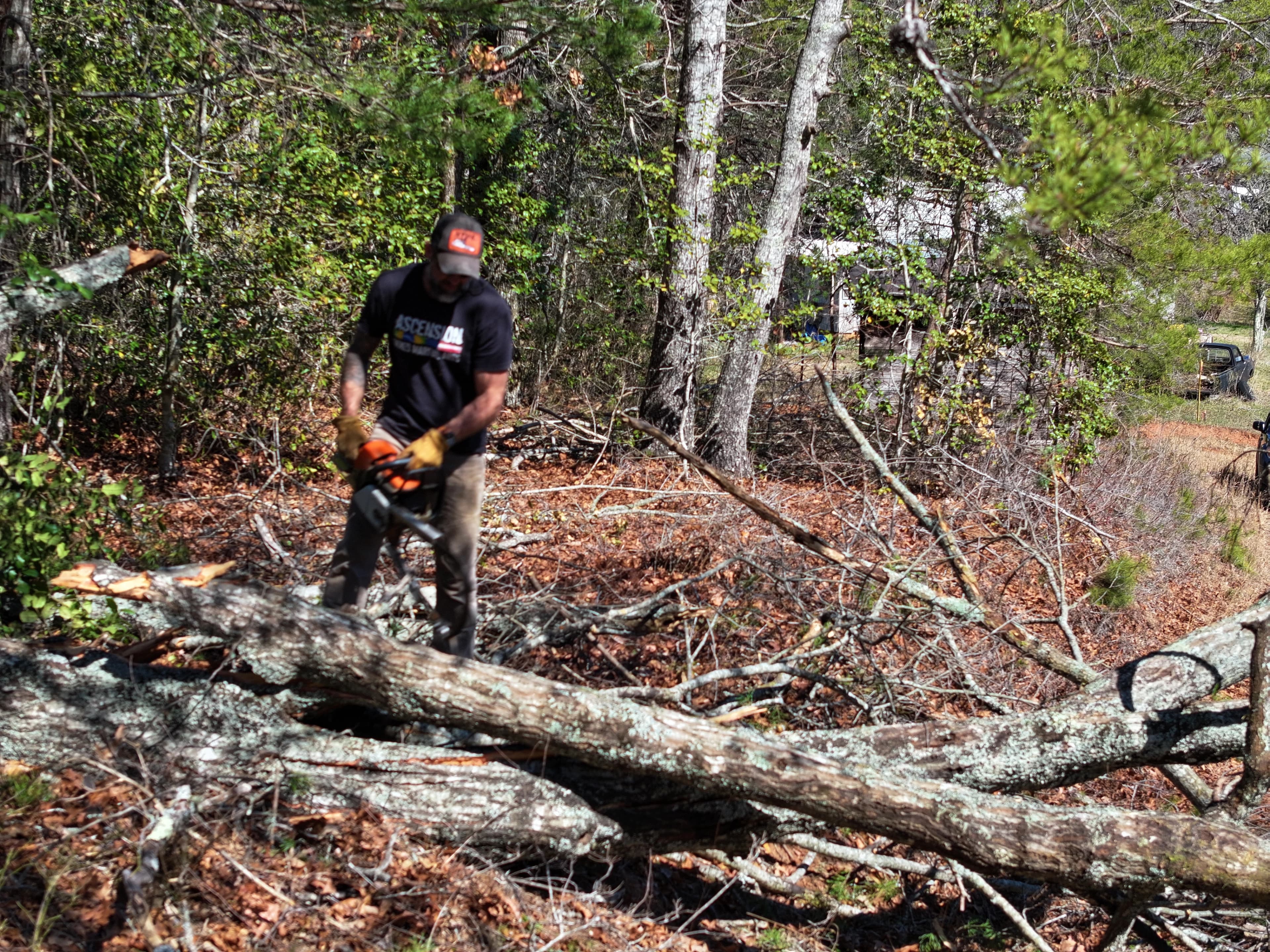 Cutting fallen timber with a chainsaw during land clearing